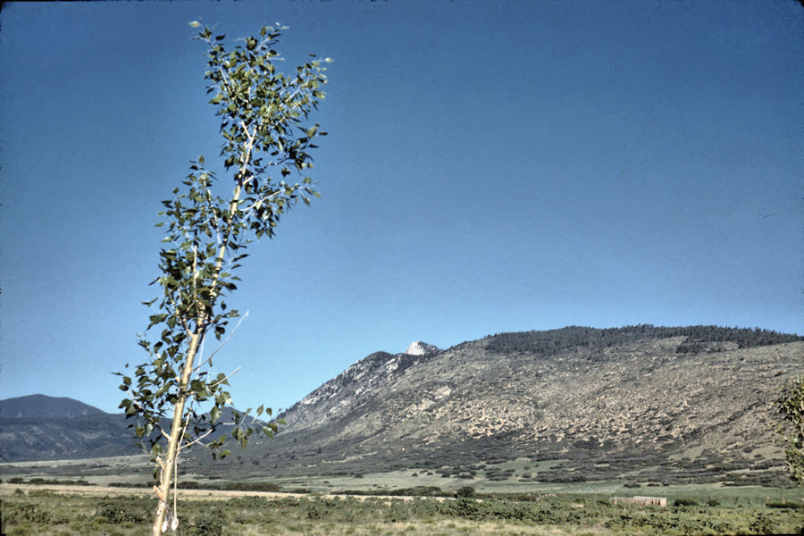 Scene from Philmont trip 1958