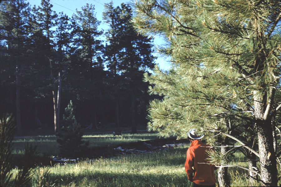 Scene from Philmont trip 1958