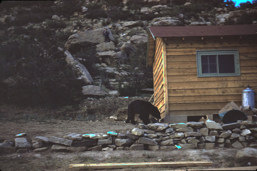 Scene from Philmont trip 1958