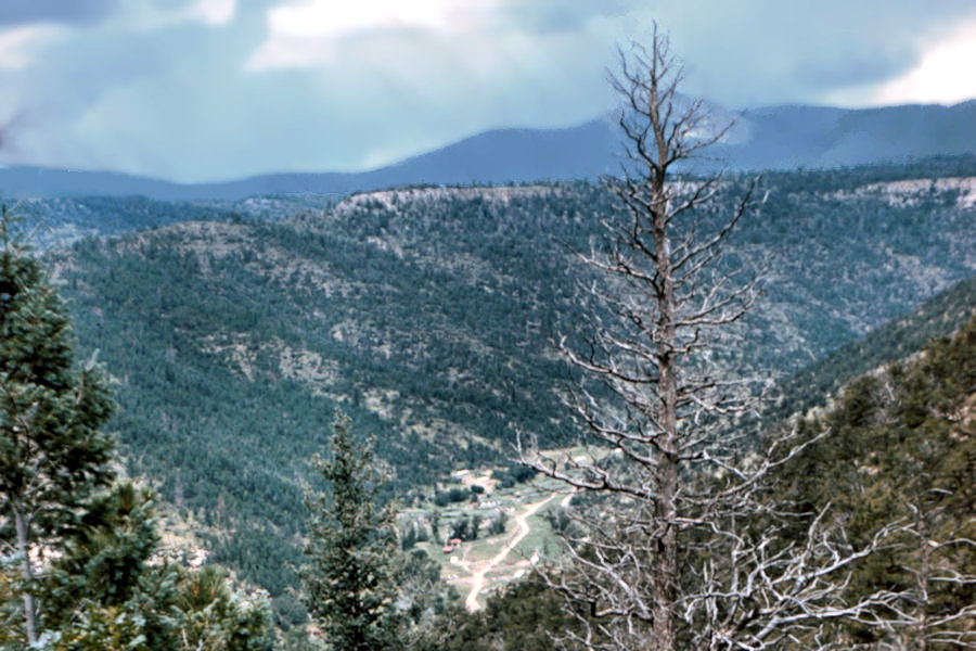 Mountain Scene