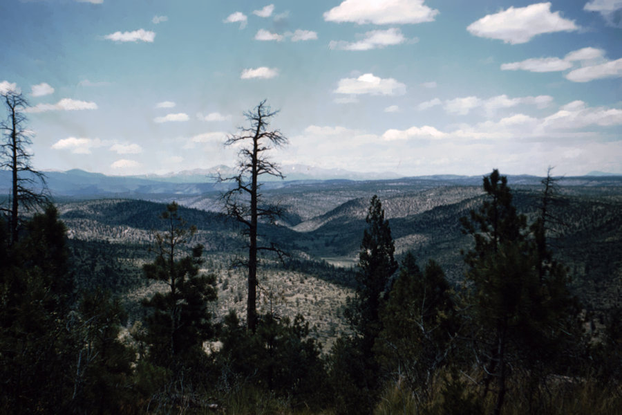 Mountain Scene