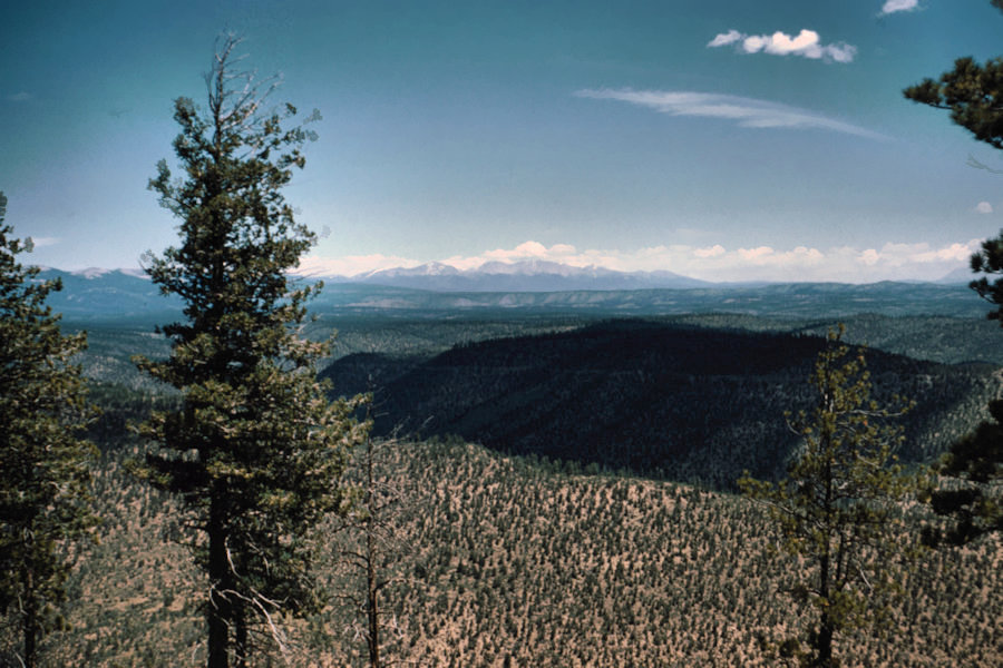 Mountain Scene