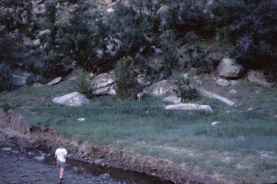 Scene from Philmont Trip 1962