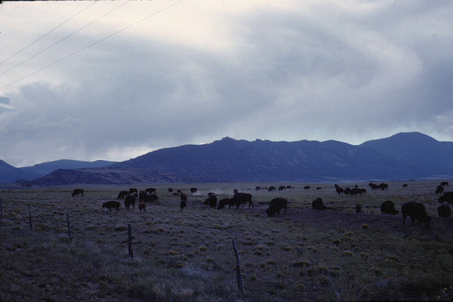 Scene from Philmont Trip 1962