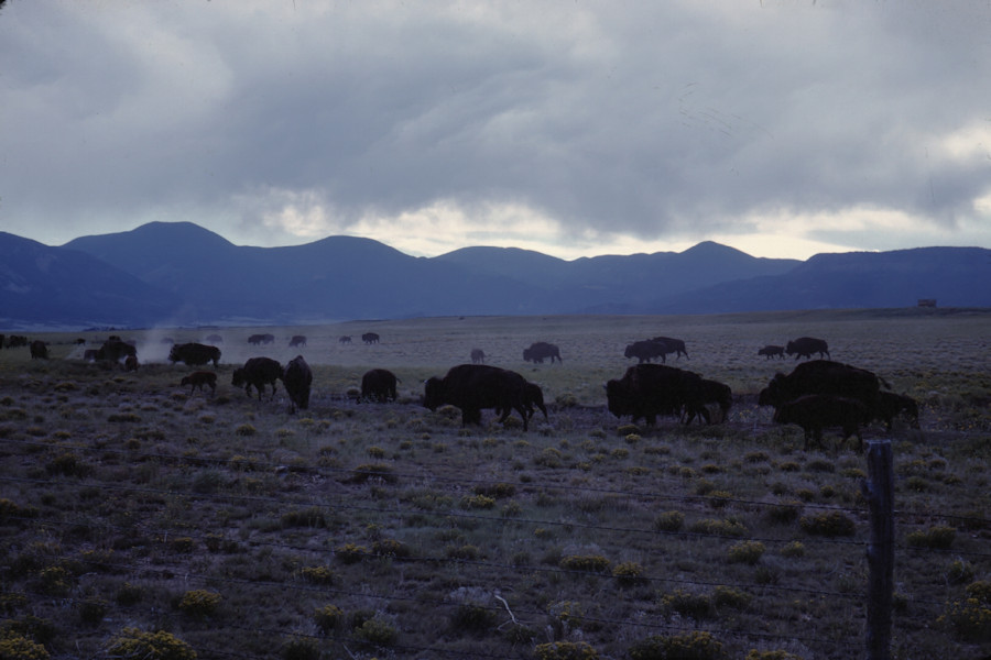 Scene from Philmont Trip 1962