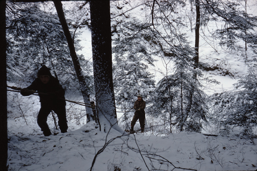 Troop 350 - 1962