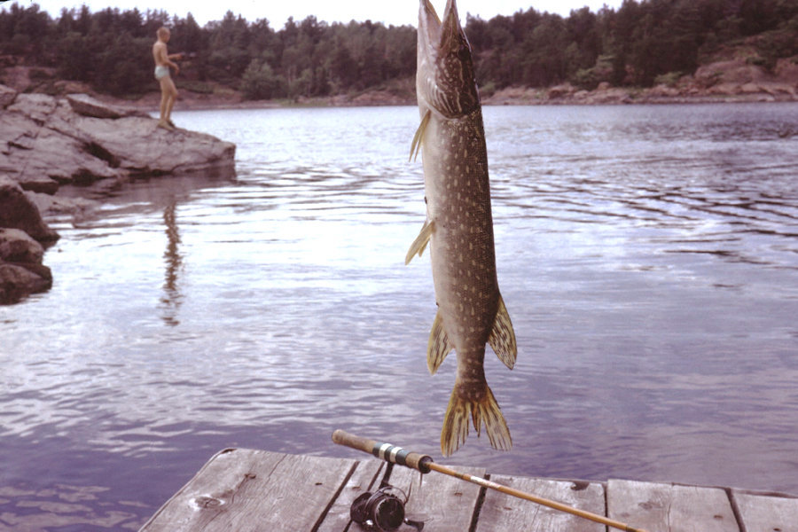 Scene from Tinnerman trip 1963